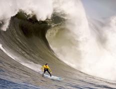 包含哈兰德手感滚烫，带领利雅得新月小胜北京国安，赛后一句话霸气侧漏的词条
